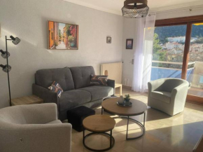 F2 avec parking, terrasse & wifi à Amélie-les-Bains, animaux acceptés - FR-1-703-53